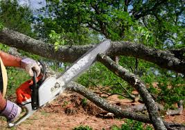 Lawn Renovation and Restoration in Lyman, MS