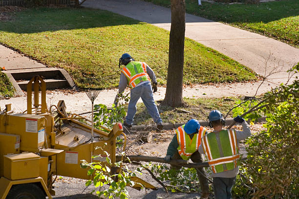 Best Firewood Processing and Delivery  in Lyman, MS